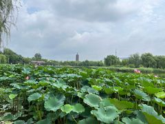 -西海子公园