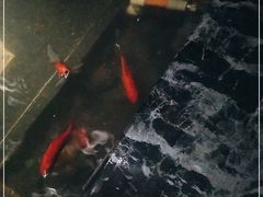 -湊湊火锅·茶憩(石家庄万象城店)