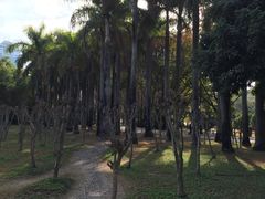 -荔香公园