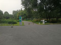 -望湖公园