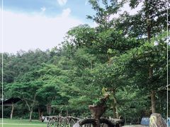 -野象谷景区
