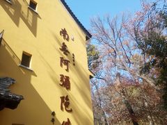 -灵谷景区