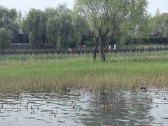 -苏州太湖湖滨国家湿地公园