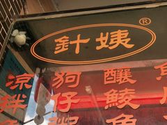 -针姨