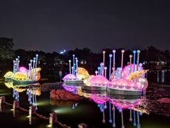 -映月湖公园