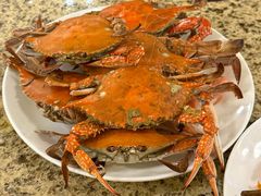 -禾斗海鲜自助(市南银座店)