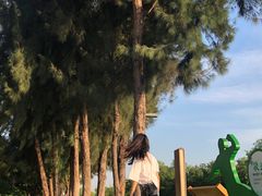 -宝安西湾红树林湿地公园