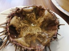 鲜海胆-海胆小馆(东北水饺·春柳店)