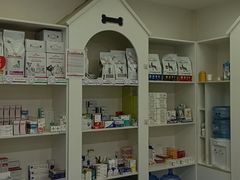 -特一安24小时宠物医院·骨科·中兽医