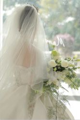 -金夫人婚纱摄影(华南店)