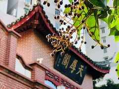 -上海三山会馆