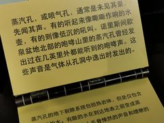 -老忠实间歇泉