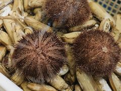 -连锦记海鲜烧烤大排档·锦州特色(西安路交大店)