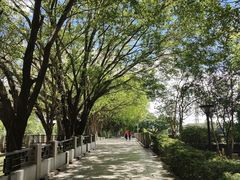 -黄埔古港