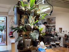 -本無咖啡·BeanWood Coffee