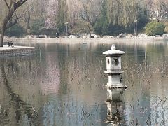 -团结湖公园
