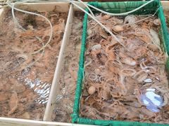 -毕家疃综合市场