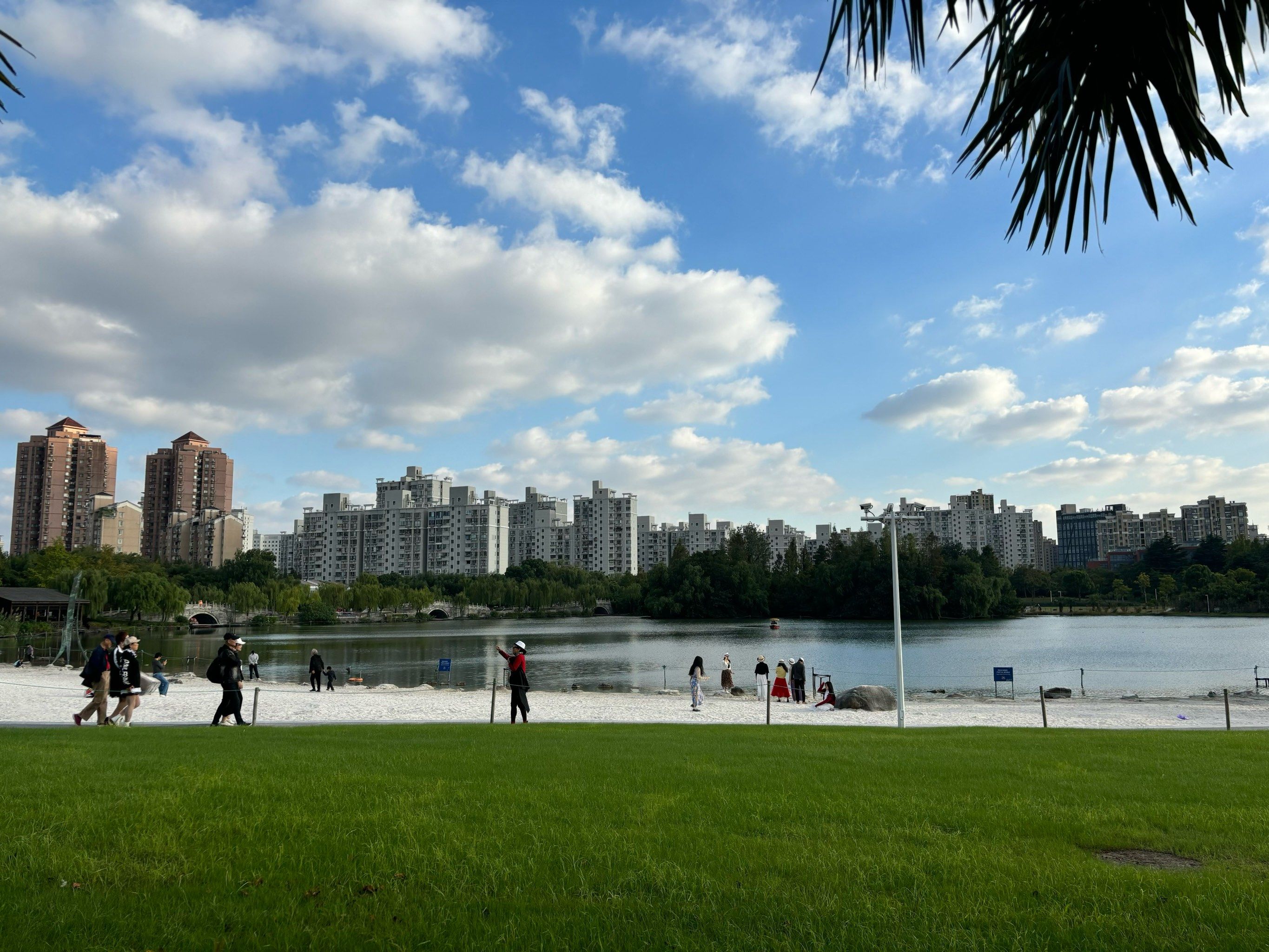 大宁公园很出片啊,天气好的时候来逛逛真不错