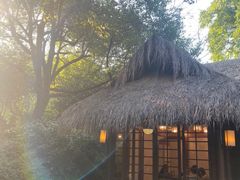 -中国茶叶博物馆(双峰馆区)