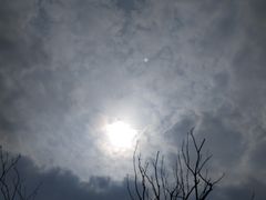 -桃花岛景观公园