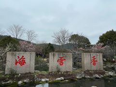 -香雪海