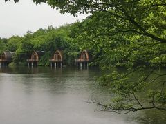 -芳草地度假酒店·野炉中餐厅