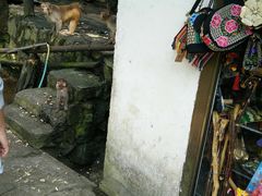 -罗田天堂寨风景区