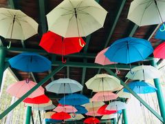 -陶祖圣境风景区