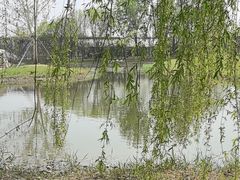 -圣露庄园·亲子活动乐园·露营·团建婚礼