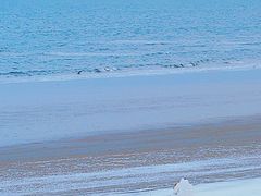 -ChanDu躔度咖啡(灯塔店)