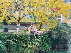 -龙潭水乡