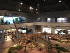 -自贡恐龙博物馆