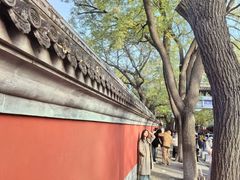 -北京国子监胡同