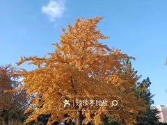 -大连人民广场