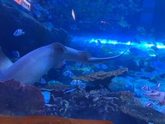 -华夏文旅海洋公园