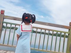 -蒲河岛湿地公园