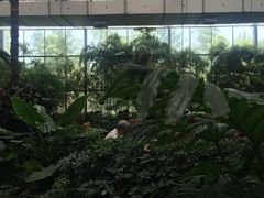 -汤山翠谷生态餐厅