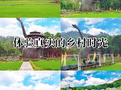 -红山村