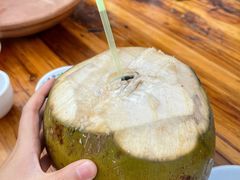 -霞姐屯昌枫木香草鸭店(海螺店)