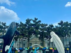 -海合安成都极地海洋公园