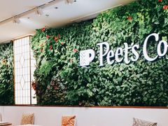 -Peet's Coffee皮爷咖啡(上海长风大悦城店)