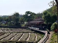 -红山村