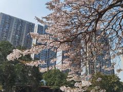 -红星桥(地铁站)