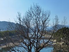 -溪口-滕头旅游景区