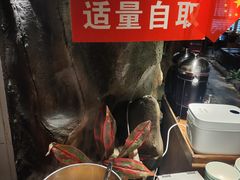 -城墙拐拐火锅(三峡广场黑金冠店)