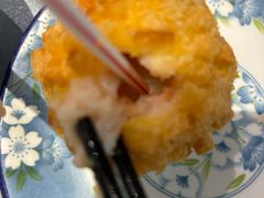 -丁老爷子苏香圆