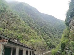 -黑河国家森林公园