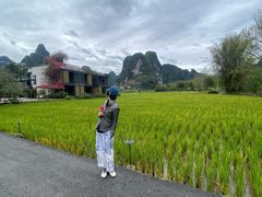 -明仕田园