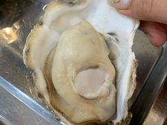 原汁生蚝-威海海鲜王(窑头路店)