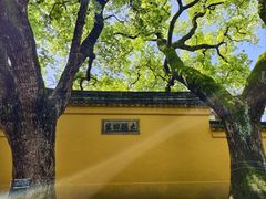-西园戒幢律寺